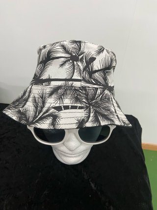 Gorras variadas, tengo 20