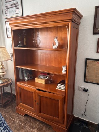 Mueble madera vitrina y puertas