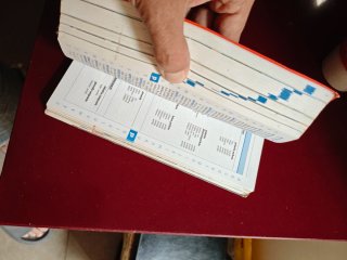 Diccionario Primaria  Nivel Básico lengua Española