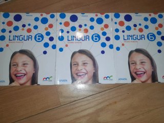 Libros 6 primaria