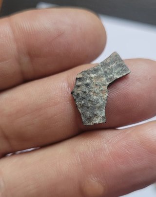 Cáscaras Huevo Fósil Oviraptor Mongolia