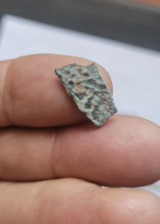 Cáscaras Huevo Fósil Oviraptor Mongolia