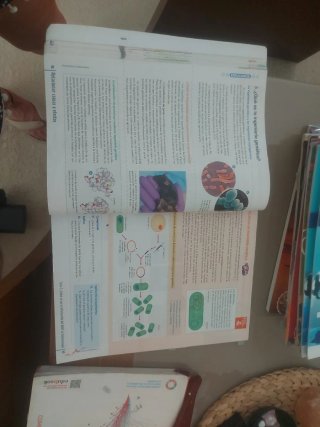 Biología y geología, 4 ESO.