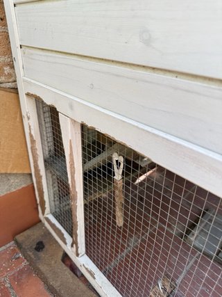 Casa para conejo