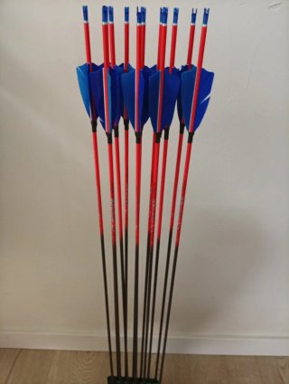 12 frecce in carbonio Spine 800/900 31