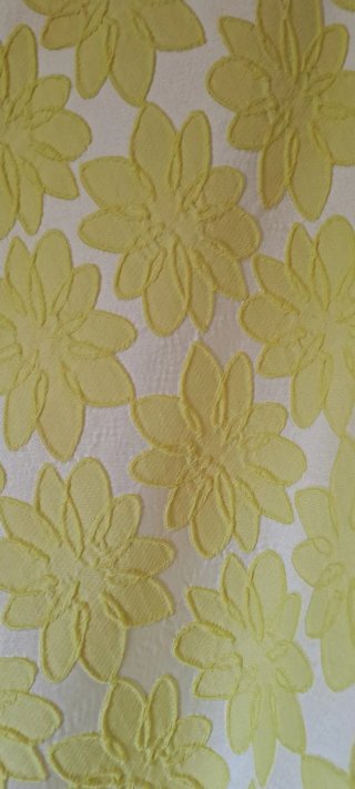 Radiante vestido en amarillo