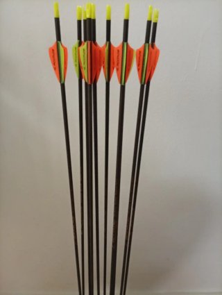 12 frecce in carbonio Spine 900 31