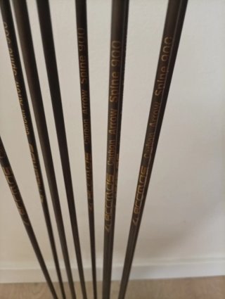 12 frecce in carbonio Spine 900 31