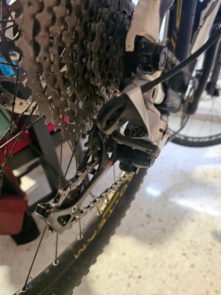 Bicicleta Olympia NCX Carbono Rígida