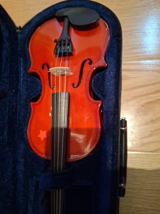 Violín para niños con funda