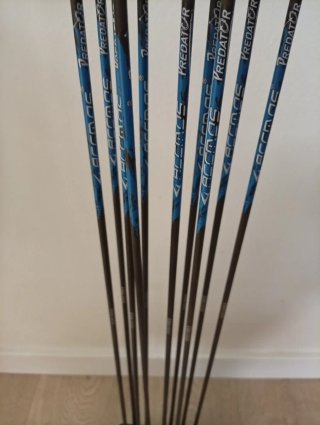12 frecce in carbonio Spine 800 da 31 pollici