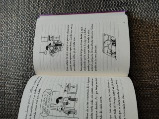 Libros Diario de Greg