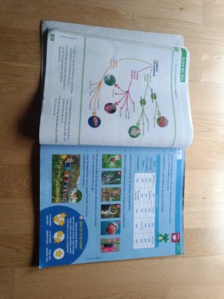 Ciencias Naturales 3 Primaria Vicens Vives