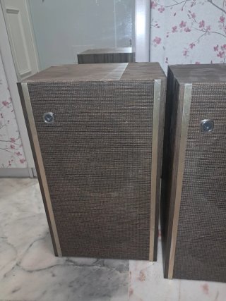 Altavoces Vanguard Marrones y Plateados