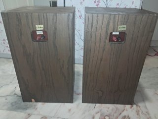 Altavoces Vanguard Marrones y Plateados