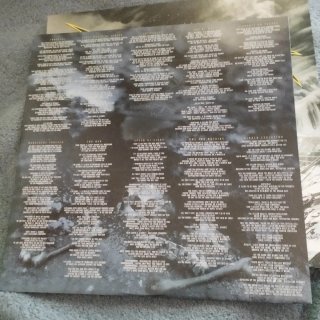 Ángelus Apatrida Hidden Evolution LP Vinilo