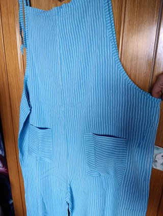Mono azul a rayas