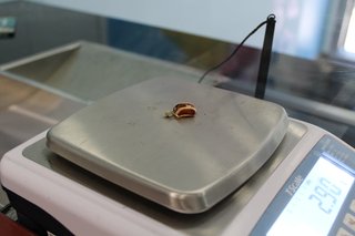 Colgante Oro 18k Piedra Marrón