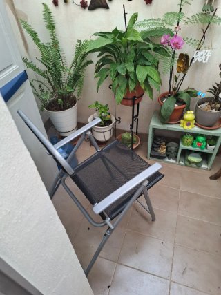 Sedie pieghevoli da spiaggia/giardino (2 unità)