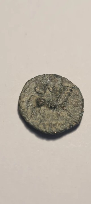 Moneda Ibérica Castulo?
