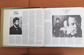Caja 14 LPs Gustav Mahler - 10 Sinfonías (R.Kubeli