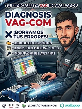 Especialista VAG-COM: Diagnosis y Borrado de Fallo