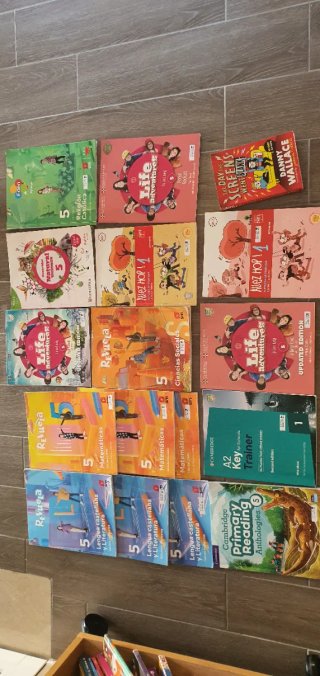 Lote de libros 5° Primaria Trinity College