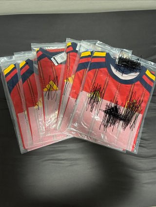 Camiseta Mundial