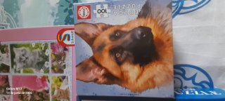 Lote 3 Puzzles 100 y 300 piezas Animales.