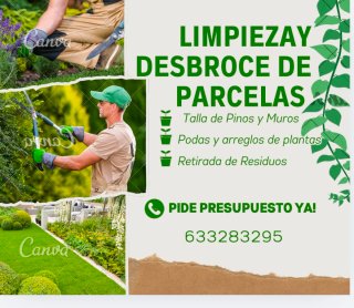 Limpieza de parcelas