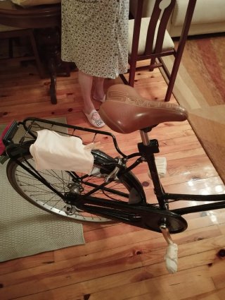 Bicicleta Holandesa Negra
