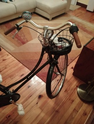 Bicicleta Holandesa Negra