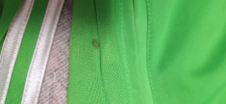Chaqueta Adidas Verde