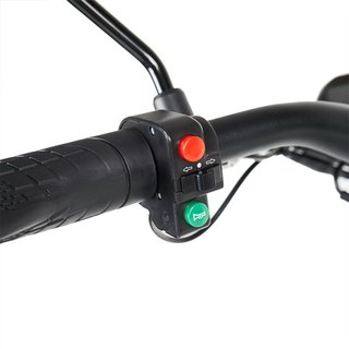 Patinete Eléctrico Ecoxtrem Centauro 2000W