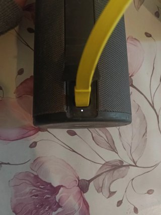 Ultimate Ears speaker