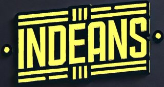 INDEANS Covers Duo, Band & Big Band