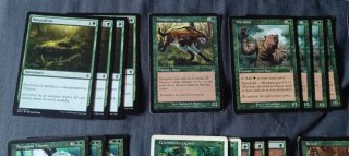 Cartas Magic The Gathering: Valle Fuegomusgo, Renc