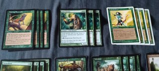 Cartas Magic The Gathering: Valle Fuegomusgo, Renc