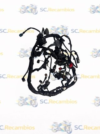 Cableado Kawasaki ZX6R 2024