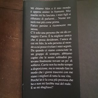 Un'amica quasi perfetta