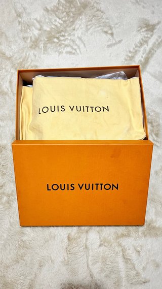 Mochila Louis Vuitton Mini Marrón Negra