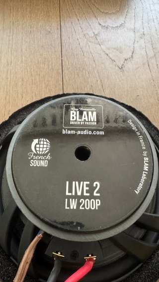 BLAM LIVE L200P POWER - Altavoces 200mm