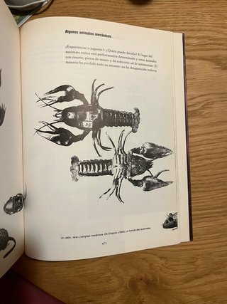 Fragmentos para una historia del cuerpo humano. I