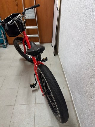 Bicicleta con 2 cestas delanteras