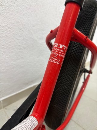 Bicicleta con 2 cestas delanteras