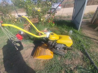 Motoazada amarilla