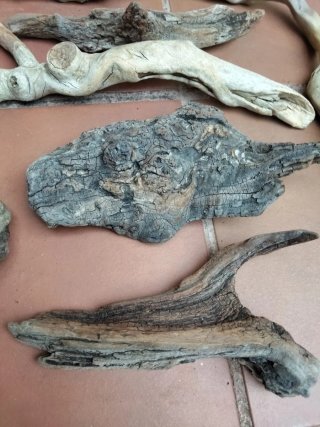 Tronco rama palos deriva marítima acuario terrario