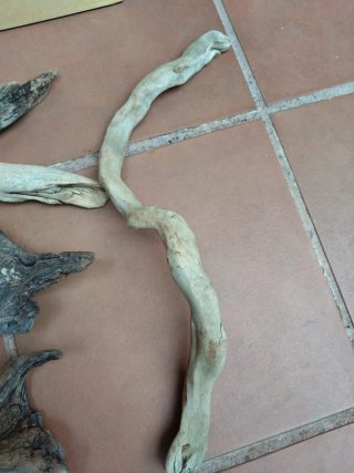 Tronco rama palos deriva marítima acuario terrario