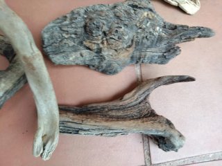 Tronco rama palos deriva marítima acuario terrario