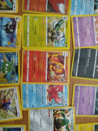 Lote Cartas Pokémon